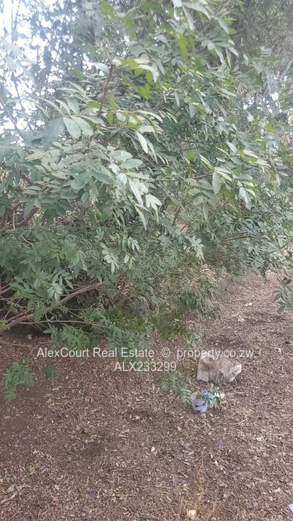 Mt Pleasant Northwood Land for Sale