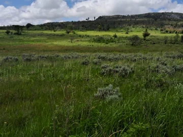 Farm & Agricultural Land