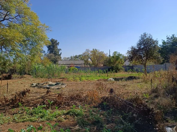Stands & Residential Land
