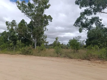 Farm & Agricultural Land