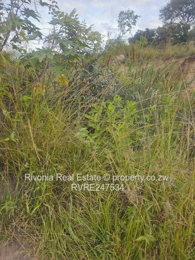 53ha Beatrice Farm — , Dam & Grassy Arable Land (Sole Mandate)
