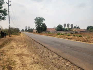 Stands & Residential Land