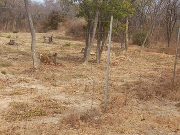 Farm & Agricultural Land