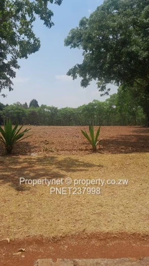 Prime stand (Sole Mandate)