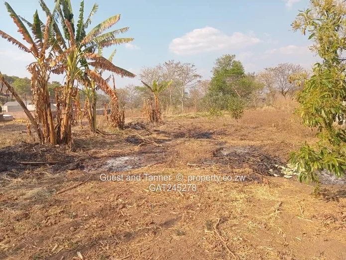 Ruwa Athelney Stands For Sale