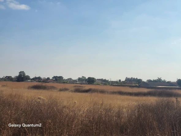 Stands & Residential Land
