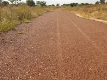 Stands & Residential Land