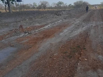 Farm & Agricultural Land