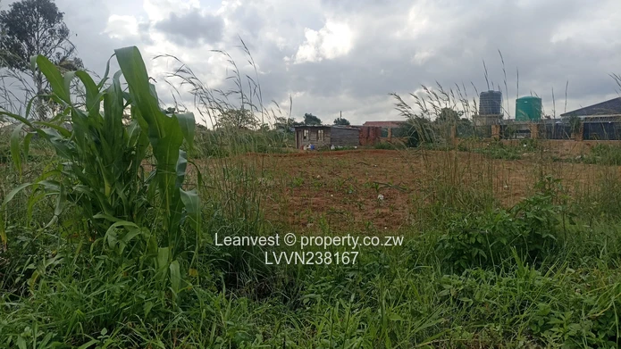 Ruwa Sebastopol Park Commercial Stand For Sale 