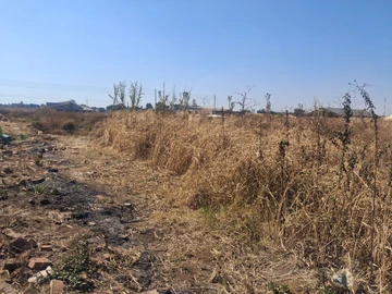 Stands & Residential Land