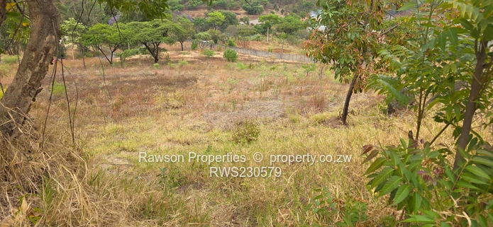 Superb opportunity in Philadelphia 