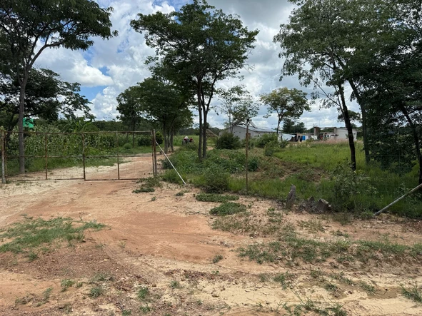 Farm & Agricultural Land