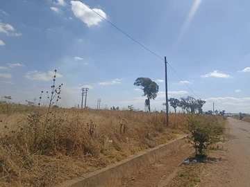 Stands & Residential Land