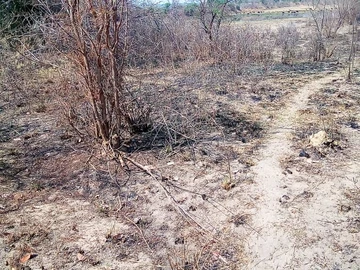 Farm & Agricultural Land