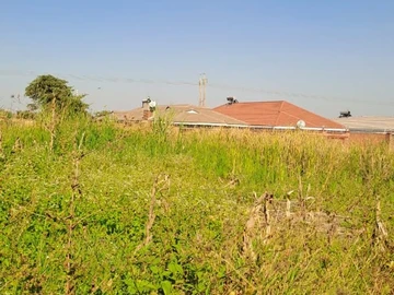 Stands & Residential Land