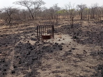 Farm & Agricultural Land