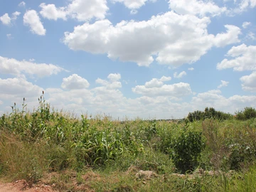 Commercial & Industrial Land