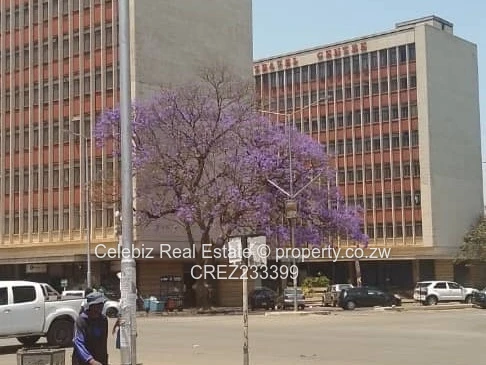 CBD Commercial building for sale 