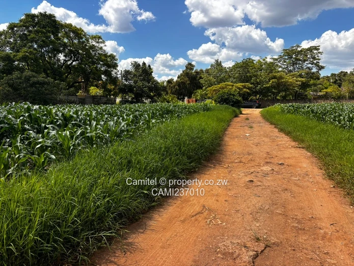 Subdividable 6,705 m² Marlborough deeds available — Walled, Main 