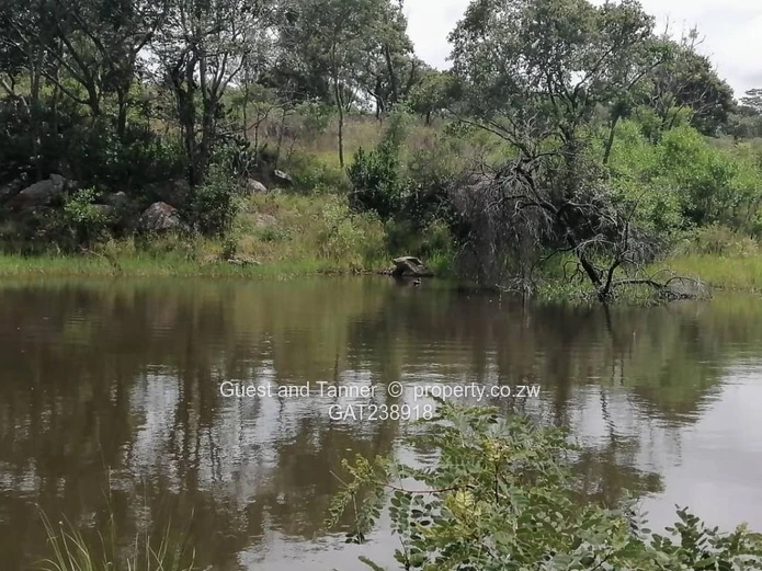 Ruwa Agro Residential Plot for Sale - 3.88ha with Farmhouse and Excellent Water Infrastructure