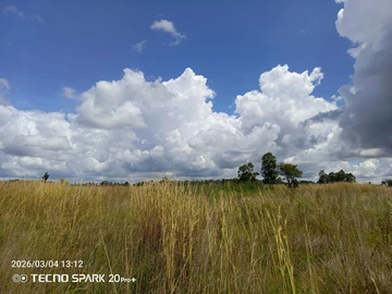 Farm & Agricultural Land