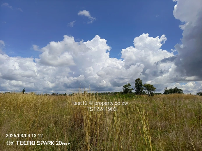 Ruwa - Goromonzi Plot for sale  (Sole Mandate)