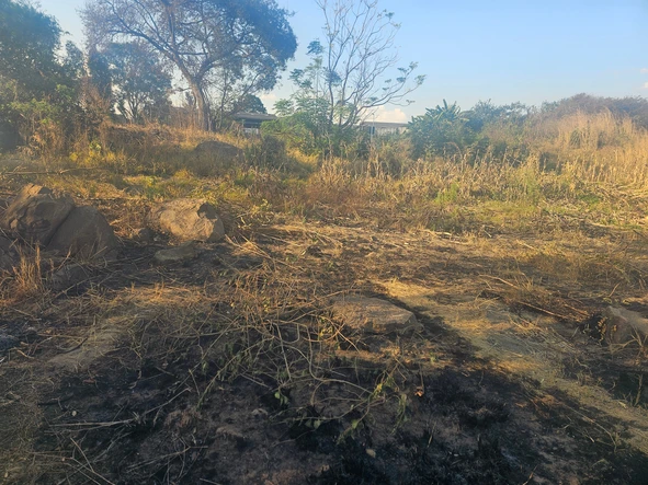 Commercial & Industrial Land