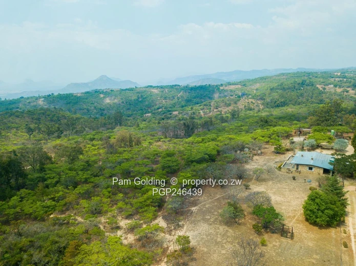 Stands In Nyanga At Nyamazi River For Sale
