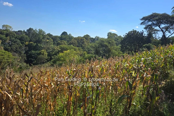 A Rare Hillside Sanctuary In Helensvale – 1.3 HA (Sole Mandate)