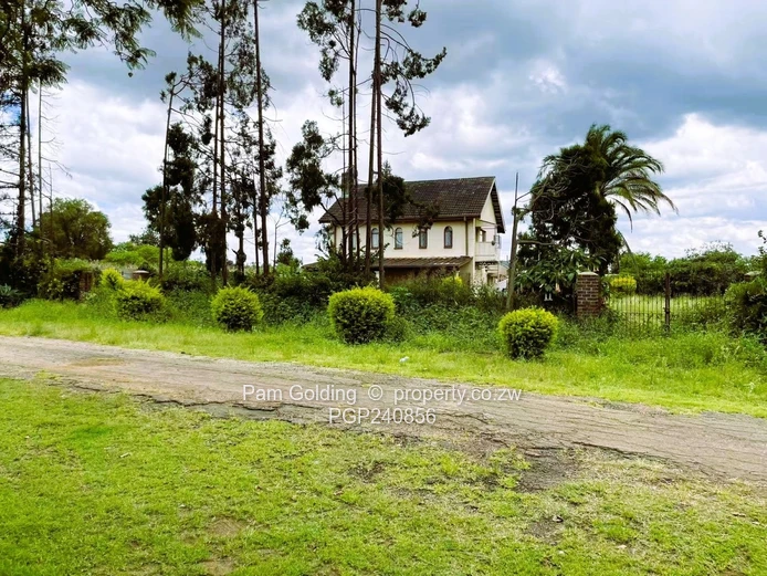 Time-Bound Sale with exceptional value