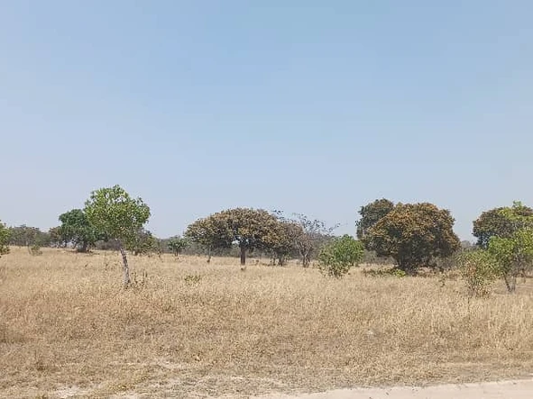 Farm & Agricultural Land