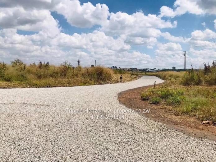 200m² Serviced Stand — New Road & Drains, Fidelity