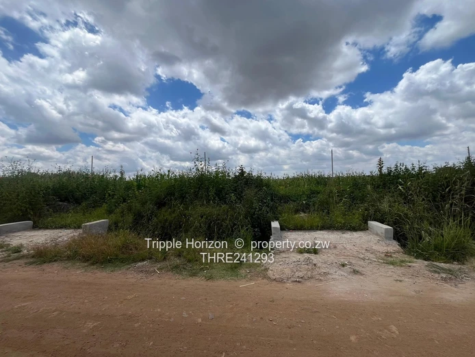 Budiriro 4 stands for sale