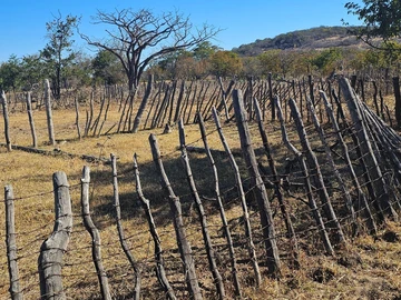 Farm & Agricultural Land