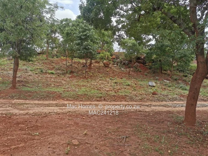 Ready To Build Stand; Gletwin's Finest