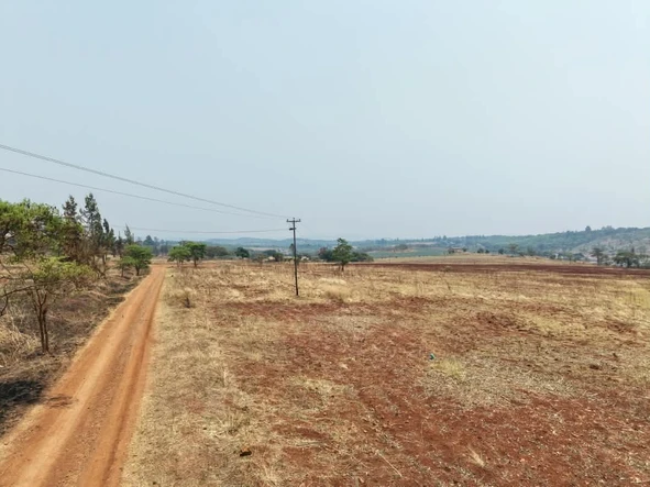 Farm & Agricultural Land