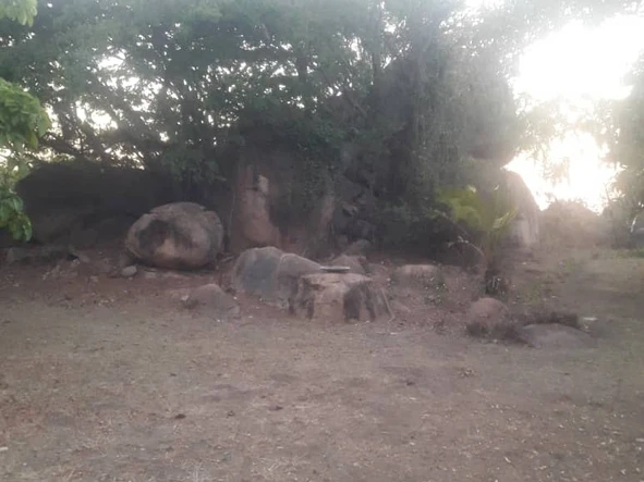 Farm & Agricultural Land