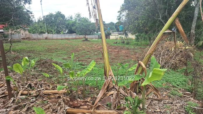 Greystone Park $179K