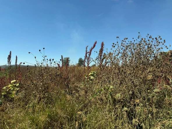 Commercial & Industrial Land