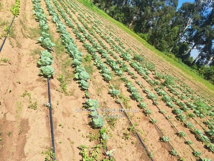 Agro - Residential Plots For Sale