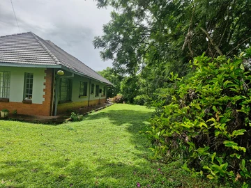 Shop & Retail Property