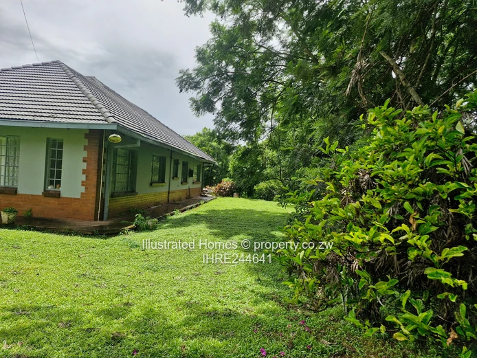 Interesting Investment Opportunity 