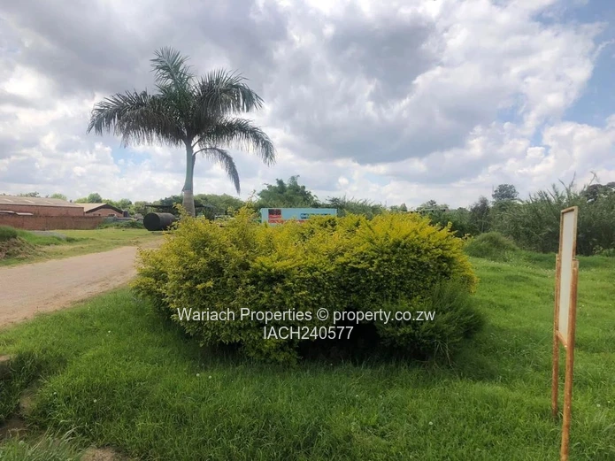 Where business meets opportunity!