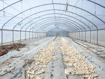 Farm & Agricultural Land