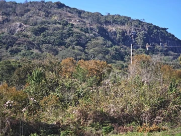 Commercial & Industrial Land