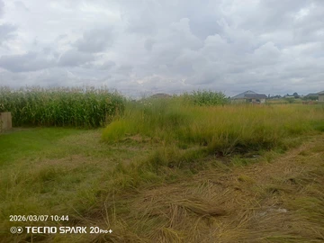 Stands & Residential Land