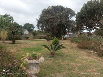 Commercial & Industrial Land