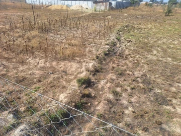 Land
