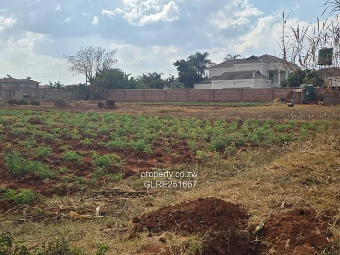 900m² Westgate Plot — Road Front, Walled Neighbours