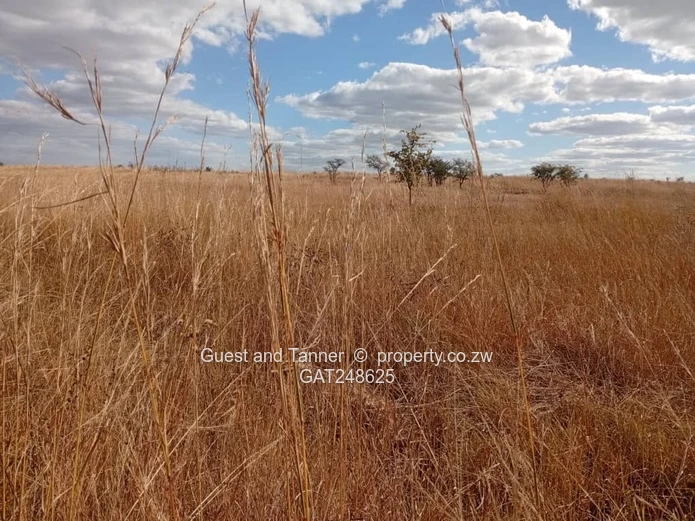  Prime Residential Stands for Sale in Nyabira – Near Upcoming Cyber City